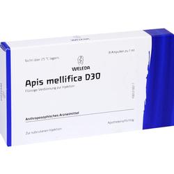 APIS MELLIFICA D30